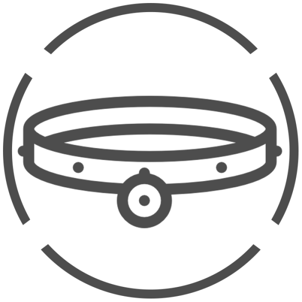 COLLAR 2