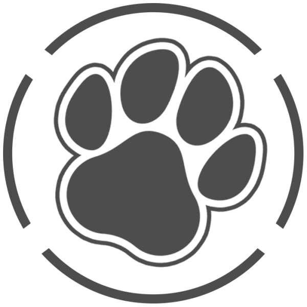 PAW 2